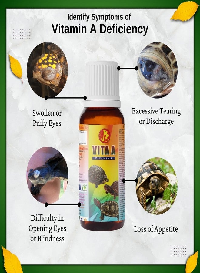 سايج سكوير سيج سكوير بيت كير فيتا أ (30 مل) | مكمل غذائي أساسي بفيتامين أ لصحة عيون السلاحف ومناعتها | يدعم الرؤية الواضحة والنمو والصحة العامة | يساعد في علاج نقص العناصر الغذائية واضطراباتها (30 مل) - Image 5